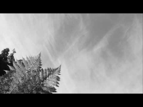 anatu - beginning to forget