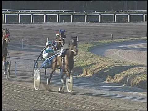 Trotto 30/12/2016 - 2ª corsa