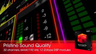 Video thumbnail for Sony Sound Forge Pro 11 Waveform Editing Software Overview | Full Compass by Full Compass