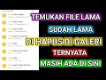 CARA TEMUKAN FILE LAMA DARI WHATSAPP YANG TERHAPUS DI GALERI