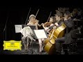 Schubert: Piano Quintet In A Major, Op. 114, D 667 - "The Trout", 3. Scherzo (Presto) [...