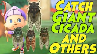 How to Catch a GIANT Cicada, and Robust, Brown, & Evening Cicadas in Animal Crossing New Horizons