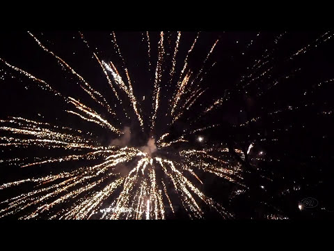 Fireworks in the Neighborhood 2016