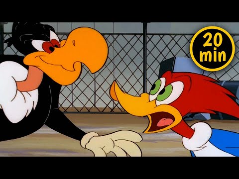 Capa de Pica-Pau contra Zeca Urubu | 3 Episódios Completos | Desenhos Animados em Português