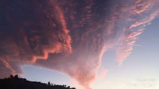 2AM-Adeline Hill (Lyrics)