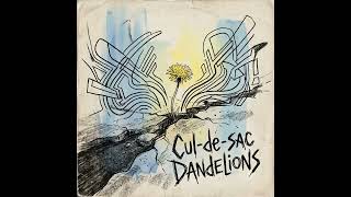 Cul de sac Dandelions