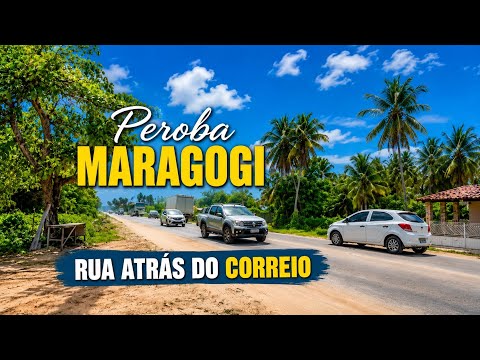 PEROBA ALÉM DA PRAIA | A Realidade de um Bairro Tradicional de Maragogi