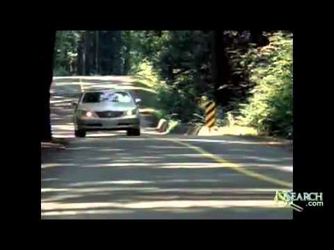 Шина Toyo Versado LX