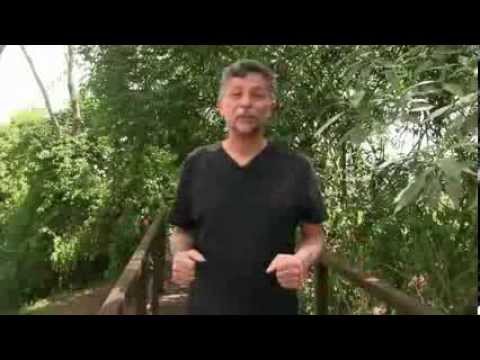 Fatores Espirituais - Nossas Doenças (1)