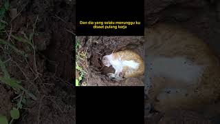 Download lagu Kucing meninggal sedih 😭😭😭#shotrs , #@kinantiofficial9974 , mp3 Download lagu Kucing meninggal sedih 😭😭😭#shotrs , #@kinantiofficial9974 , mp3
