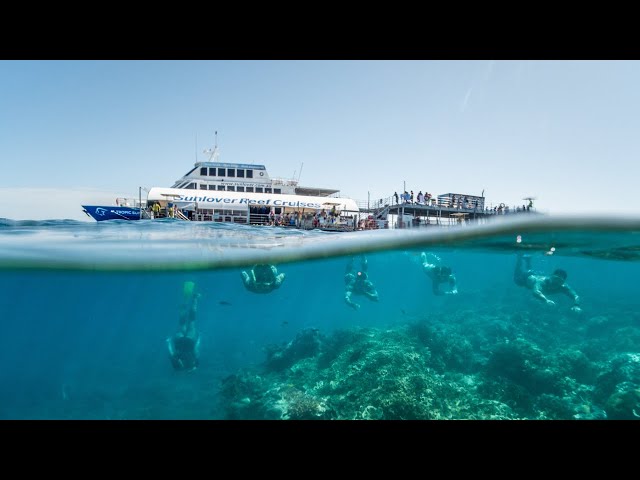 YouTube thumbnail image