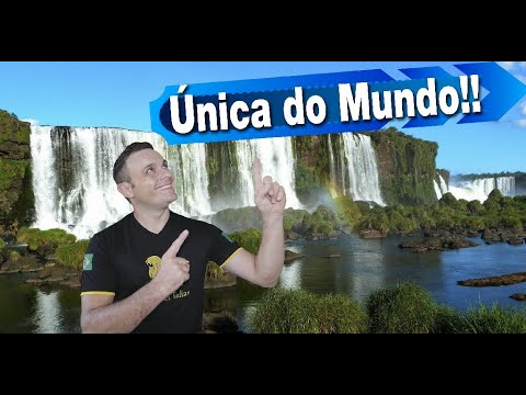 10 curiosidades sobre a Região Sul