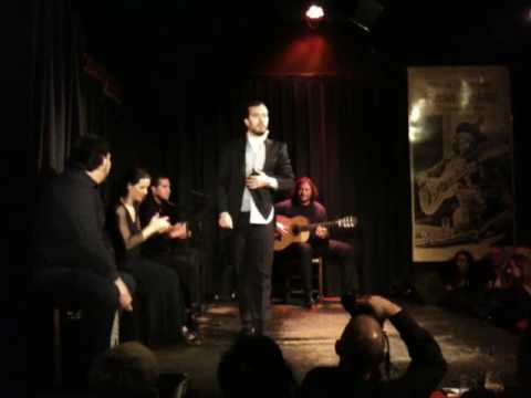 Casa Patas Flamenco Show Madrid 2, 20nov2009