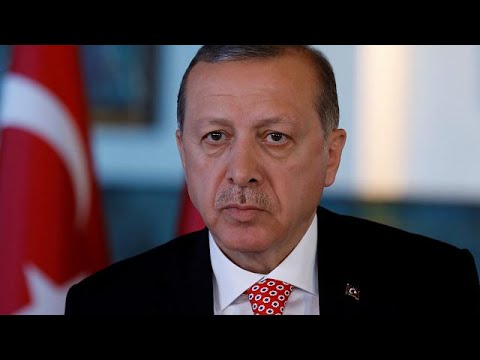 Erdogan verbittet sich Kritik aus Deutschland