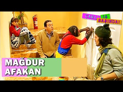 Tarkan, Afakan'ı Evden Kovdu - Çarli İş Başında 1. Bölüm