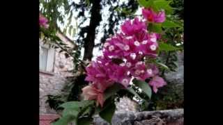 Pat Metheny /And I Love her