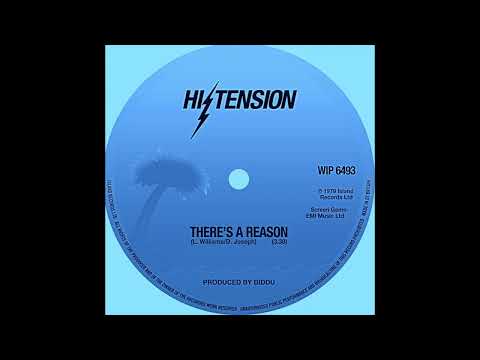 There's a Reason (Warm Groove Mix) Hi Tension AI Cover