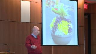 preview picture of video 'Dr. Alan Stevens, Holiday Decorations and Flowers'