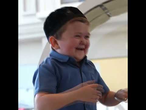 Hasbulla liebt Katzen 😂