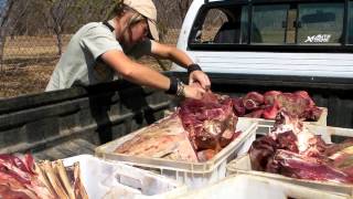 preview picture of video 'Hoedspruit Endangered Species Centre (HESC) Feeding Time'