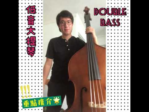 02 String Instruments 弦樂樂器