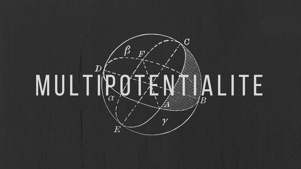 Why Should You Develop Multiple Skill-sets? - What Is A Multipotentialite