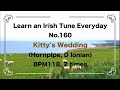 160 Kitty's Wedding (Hornpipe, D Ionian)