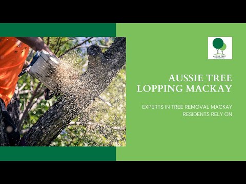 Aussie Tree Lopping Mackay | Tree Removal Mackay | Tree Loppers Mackay