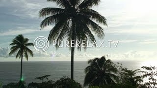 Lounge Music - Guitar Music, Harmony, Wellness & Paradise - OCEAN LOUNGE