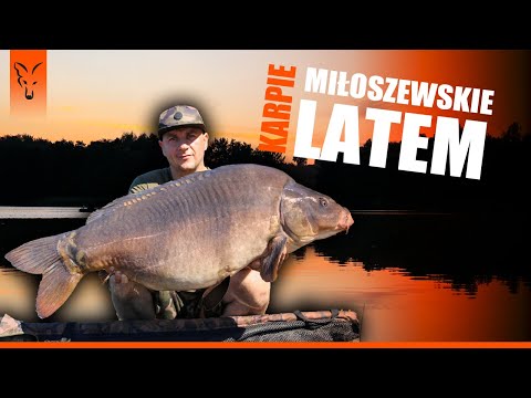 MIŁOSZEWSKIE KARPIE LATEM