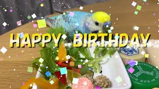 夾ちゃんは１歳になりました