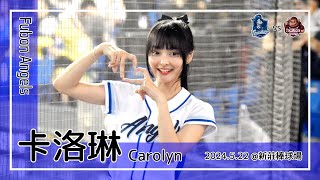 【台湾チア】卡洛琳 Carolyn | Fubon Angels | 池恩齊,高國麟 應援曲 + 嗆司曲 藍色旋風 [中文歌詞]