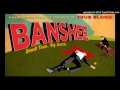 Banshee Theme - Methodic Doubt 
