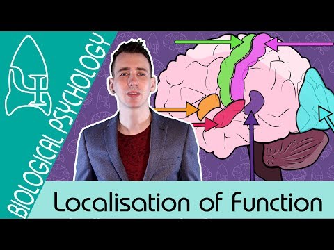 6 Localisation of function