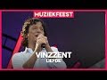 Vinzzent - Liefde | Muziekfeest op het Plein 2019