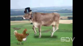 Sebastian Da Vinn - Telephone and Rubber Band (Caloi en su tinta)