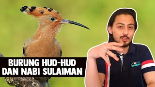 Download lagu Burung Hud-Hud dan Nabi Sulaiman mp3 Download lagu Burung Hud-Hud dan Nabi Sulaiman mp3