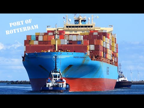 SHIPSPOTTING 2023 - ARRIVAL AND DEPARTURE COMPILATION