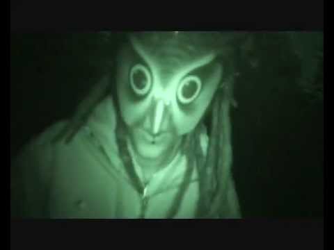 Digital Mind Terror (D.M.T) - A62