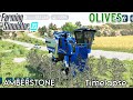 How to harvest olives in farming simulator 23