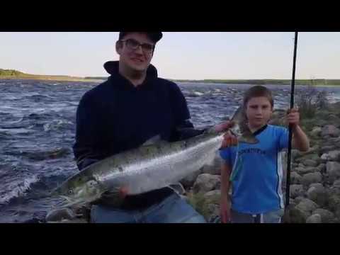 Matkakoski kesäkuu 2019