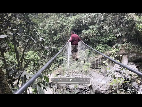 Yunga: A Journey Into The High Jungle Of Bolivia