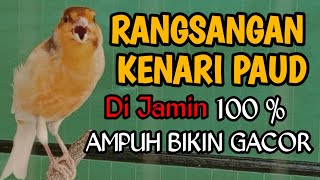 Download lagu rangsangan kenari paud supaya cepat bunyi gacor ~ SUARA KENARI PAUD BELAJAR BUNYI mp3