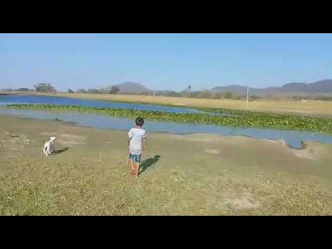 hoje aqui em caracol mato grosso do Sul,pescar umas traíras, tudo de bom (2)