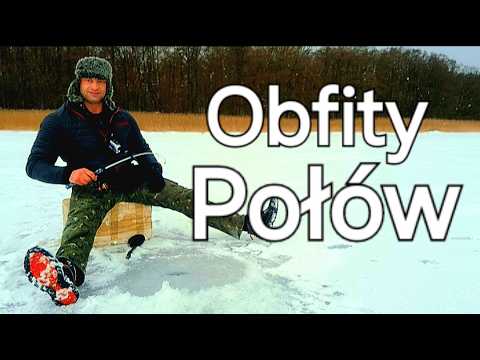 OKONIOWY SZAŁ !!! Waliły w Blache Jak Wściekłe