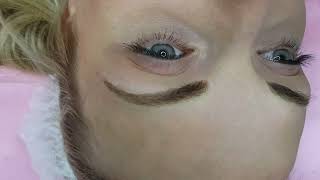 Dark Blonde Eyebrows Microblading by El Truchan @ Perfect Definition