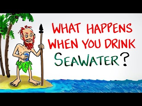 喝海水會發生什麼事呢？ (What Happens When You Drink SeaWater?)