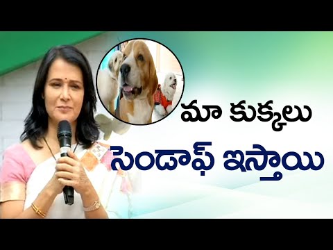 Actress Amala Launches IAMS Branded Dog Food In India | Hyderabad | ABN Entertainment
