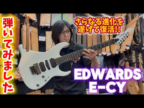 YouTube動画