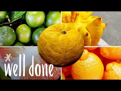 5 Exotic Citrus Fruits You Have To Try | Food 101 | Well Done